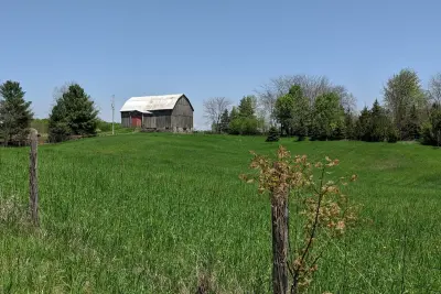 Terreno rural de 12 ha com nascente